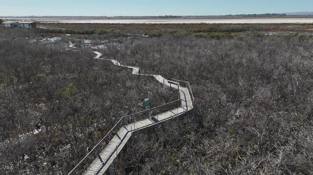 4K aerial drone footage of winding mangrove boardwalk, coastal wetlands, tidal flats and nature walking trail in St Kilda, North Adelaide, South Australia Coastline.