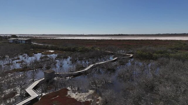 4K aerial drone footage of winding mangrove boardwalk, coastal wetlands, tidal flats and nature walking trail in St Kilda, North Adelaide, South Australia Coastline.