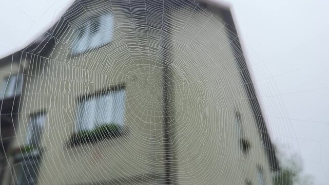 House Facade Seen Through Web, Overcast Sky, Raindrops On Silk Threads, Blurred Windows With Planter Boxes,