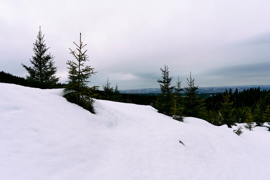 Early spring on the northern part of the Toten&aring;sen Hills, Norway, March 2026.