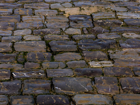 Close-up of dark wet cobblestone pavement with irregular stone blocks, visible cracks, and natural moss between the joints. Rustic street surface texture suitable for backgrounds, urban design