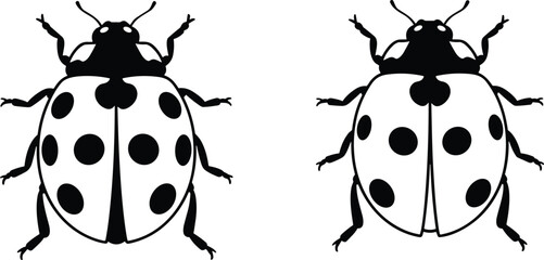 Black and white ladybug vector illustration featuring two detailed beetles with spots and antennae isolated on white background for nature and garden design © IconicCreations