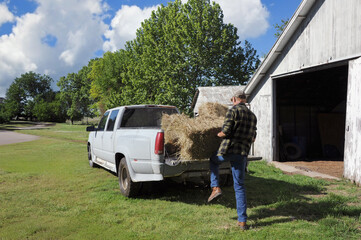 Working to Load Bales of Hay Besides Barn © Bonita