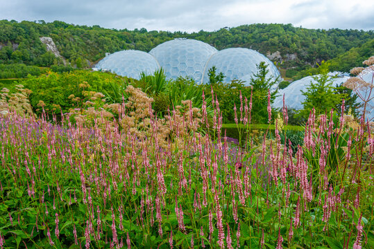 Greenhouse complex at Eden project in Cornwall, England