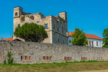 Summer day at Sarospatak castle in Hungary © dudlajzov