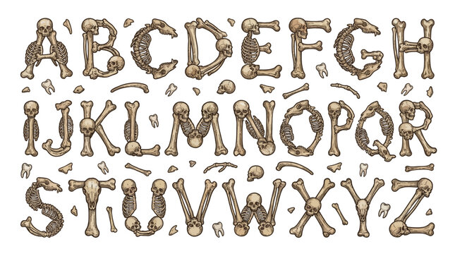 Gothic Bone Alphabet with Skulls and Skeleton Parts, Macabre Hand Drawn Font Vector Illustration Set of Letters A to Z for Halloween and Anatomical Design