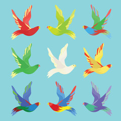 Fototapeta premium TROPICAL BIRDS. This is a bird that lives in tropical environments.