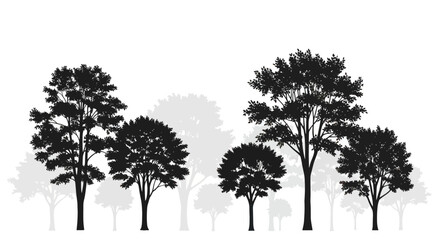 Fototapeta premium Black Silhouette Trees Against White Background, Forest Woodland Nature Scene