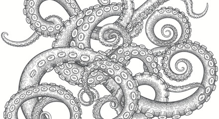 Detailed illustration of swirling octopus tentacles with suckers, monochrome drawing © Arif