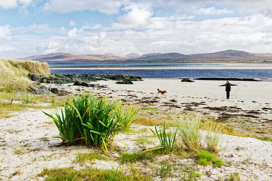 Walking dog on quiet remote beach on Gruinart Bay at Ardnave Point, Islay, Inner Hebrides. Looking east to Paps of Jura in distance