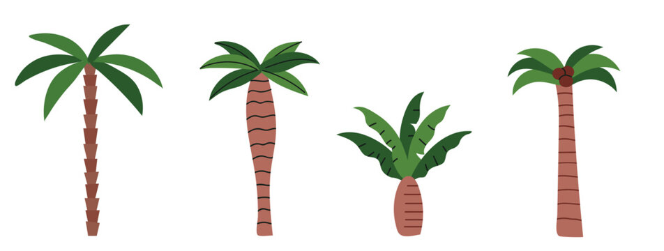 Set 2 of three stylized tropical palm trees isolated on white background. Vector flat illustration of exotic trees with green leaves and brown trunks for summer vacation, beach travel and island parad