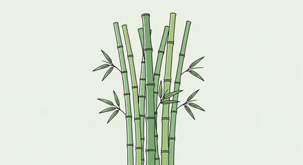 Fototapeta premium Bamboo plant green stems.