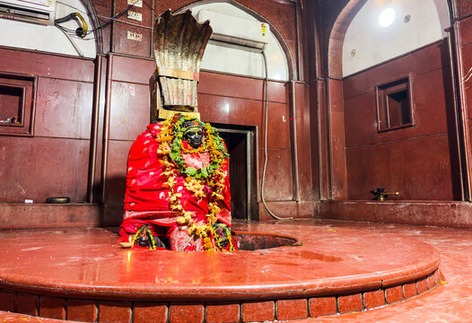 sacred deity maa tara statue adorned with flowers at traditional hindu temple