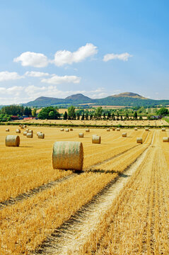 The Eildon Hills from the southeast over harvested corn field farmland near St. Boswell in the Borders Region of Scotland, UK