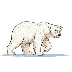 Fototapeta premium Polar Bear Illustration - Majestic Arctic Predator in Motion.