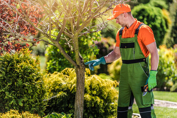 Gardener Works on Tree Care in Sunny Park Setting © Tomasz Zajda