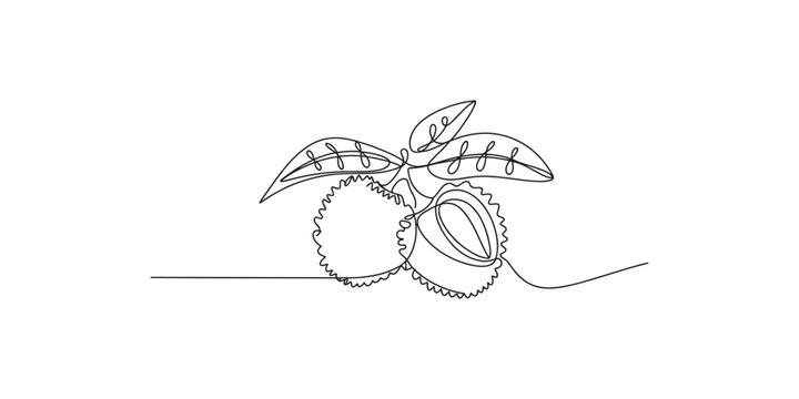 Continuous line drawing of coconut fruits with leaves on a simple landscape coconuts fruit art