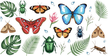 Butterflies beetles moths and tropical leaves vector collection featuring colorful insects botanical elements for nature design illustration set © MDSOHAG