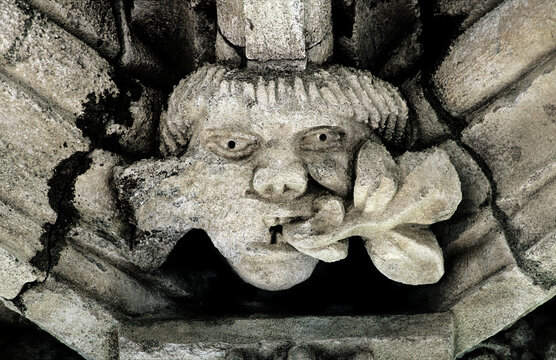 Carved stone Green Man ceiling detail in 15th C. Chapter House at Glenluce Abbey, Dumfries and Galloway region, Scotland UK