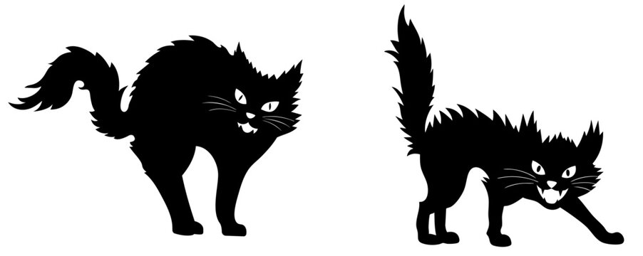 Scared black cat silhouette set with arched back and raised fur, hissing angry feline in defensive pose, Halloween frightened cat with sharp claws and tense posture
