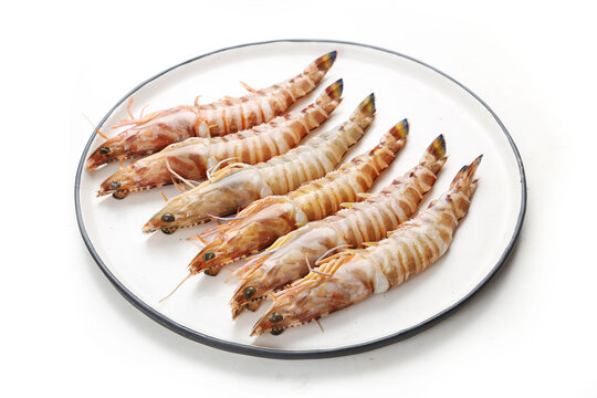 Fresh Penaeus monodon shrimp