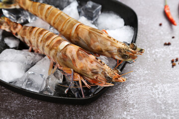 Fresh Penaeus monodon shrimp © YH