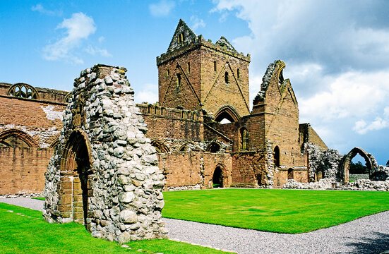 Sweetheart Abbey south of Dumfries in the Dumfries and Galloway region of SW Scotland. A Cistercian monastery founded in 1275
