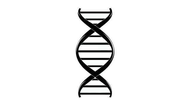 Black and white illustration of the DNA double helix. Resembles a strand of genetic information