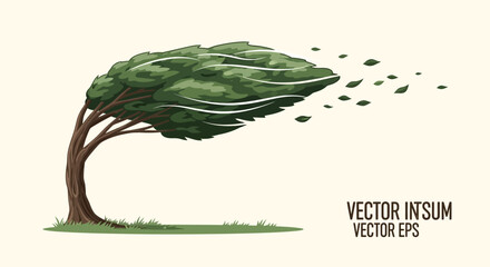 Tree Losing Leaves in Wind Storm. © Mahkota