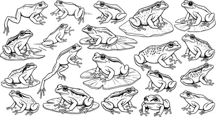 Obraz premium Detailed Black and White Frog Illustrations: A Collection of Amphibian Line Art Drawings in Various Poses, Sitting, Jumping, and Resting on Lily Pads and Rocks, for Nature and Wildlife Designs.