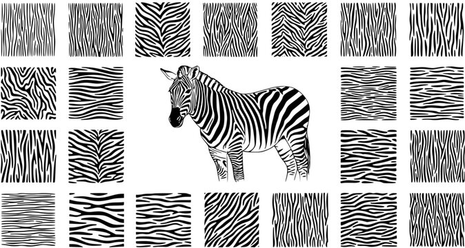 Detailed black and white illustration of a zebra surrounded by a diverse collection of various striped patterns, showcasing different zebra print textures and designs.