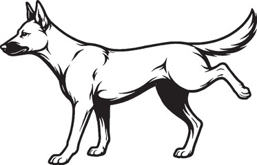 Obraz premium Belgian Malinois marking territory leg lift black and white line art illustration