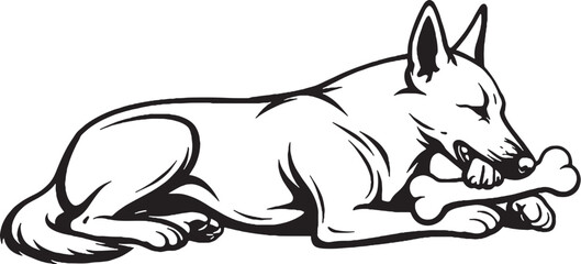 Fototapeta premium Belgian Malinois chewing bone lying down black and white line art illustration