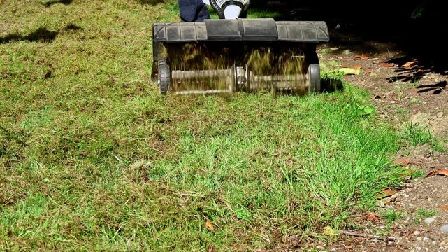 Closeup of lawn dethatching machine tossing up pieces of dead lawn thatch and moss, grass lawn care and maintenance on a sunny summer day
