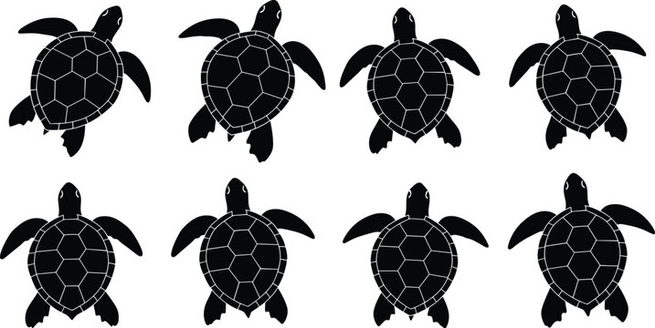 Set of swimming sea turtle silhouettes vector illustration isolated on white background, black marine reptile animal graphic for ocean nature design