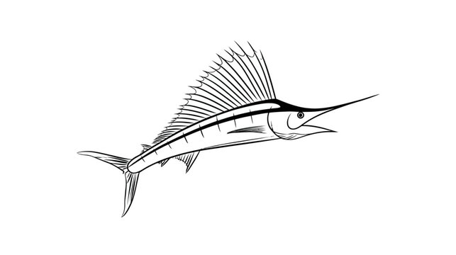 Dynamic black and white line art illustration of a sailfish or marlin, ocean game fish sketch vector on white background.