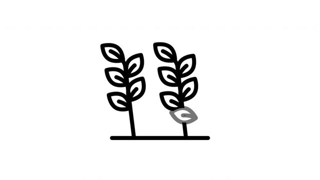 leaf animated icon