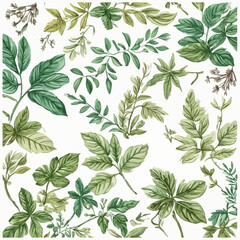Nature Pattern Design Very Cool © Daniel