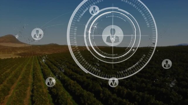 Particle clusters sparking central HUD growing above crops, forming avatar nodes mapping farm teams
