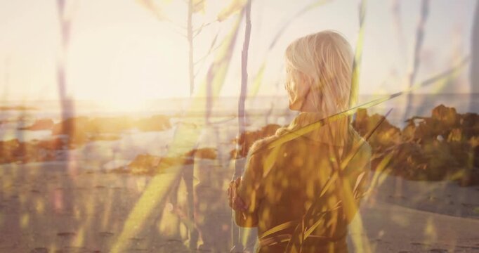 Woman standing on beach camera moving sunset urging turn as grasses shifting over figure for design