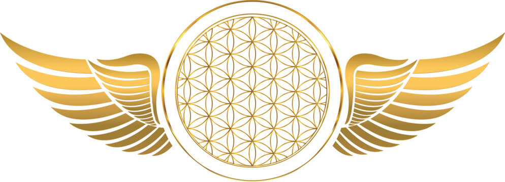3D Elegant Style Golden Flower of Life with angelic wings, sacred geometric. Kabbalah divinity and harmony on a transparent background, ideal for spiritual designs.