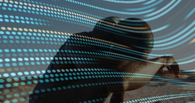 Vertical video: Man leaning checking device as blue-yellow dots overlay sweeping across tech scene