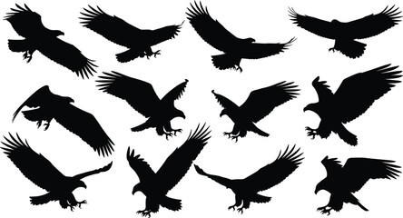 Obraz premium Eagle silhouettes set in flying and landing poses isolated on white background, bird of prey collection, wildlife vector illustration for nature, hunting and freedom concept