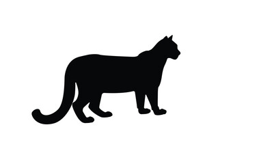 Obraz premium Puma