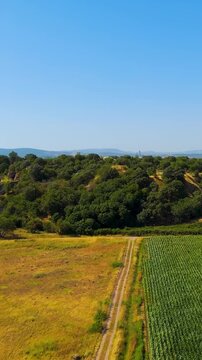 Vertical video. Tevfikiye, Turkey. The ancient city of Troy archaeological site and ruins surrounded by agricultural fields on a sunny summer day in Canakkale Province. Aerial view. Rich colors