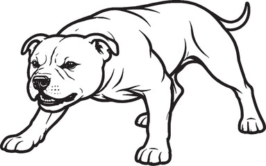 Fototapeta premium Staffordshire Bull Terrier Growling Low Guard Stance Black and White Line Art Vector