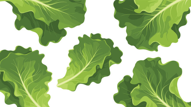 Fresh green lettuce leaves arranged artistically on a plain white background for healthy food and nutrition design concepts.