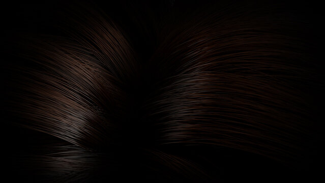 Close up of glossy straight  dark brown hair in wavy style, 3D rendering