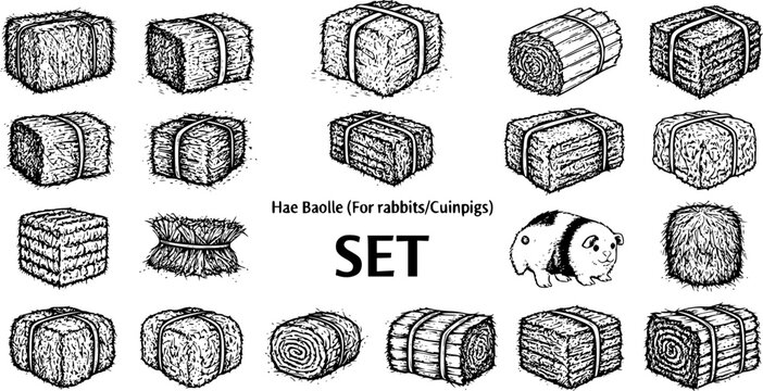 Hae Baolle Hay Bale and Bundle Collection for Rabbits and Guinea Pigs - Hand-drawn Vector Illustration Set of Animal Feed