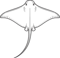 Stingray Top View Black and White Line Art Marine Ray Fish Outline Illustration © Nguyen